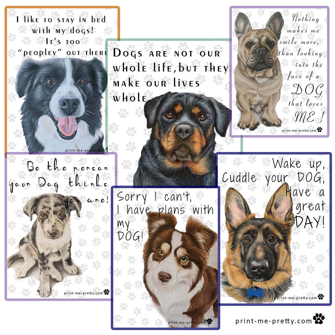 Pets - Dog Affirmation Cards