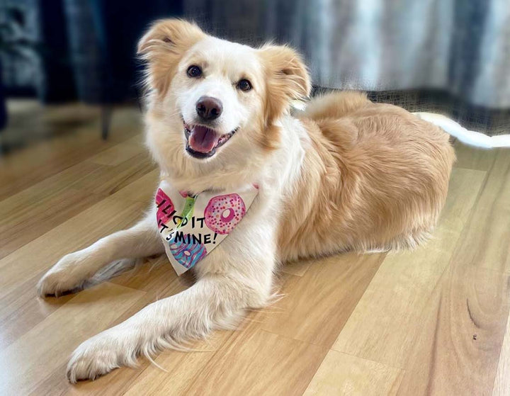 Pets - Bandanas, I Licked It So It's Mine