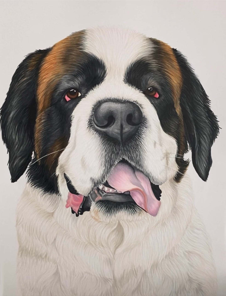 Animal Portrait - A5
