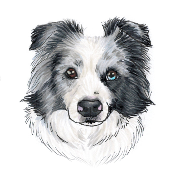 XL Satin Scrunchie - Border Collie Print