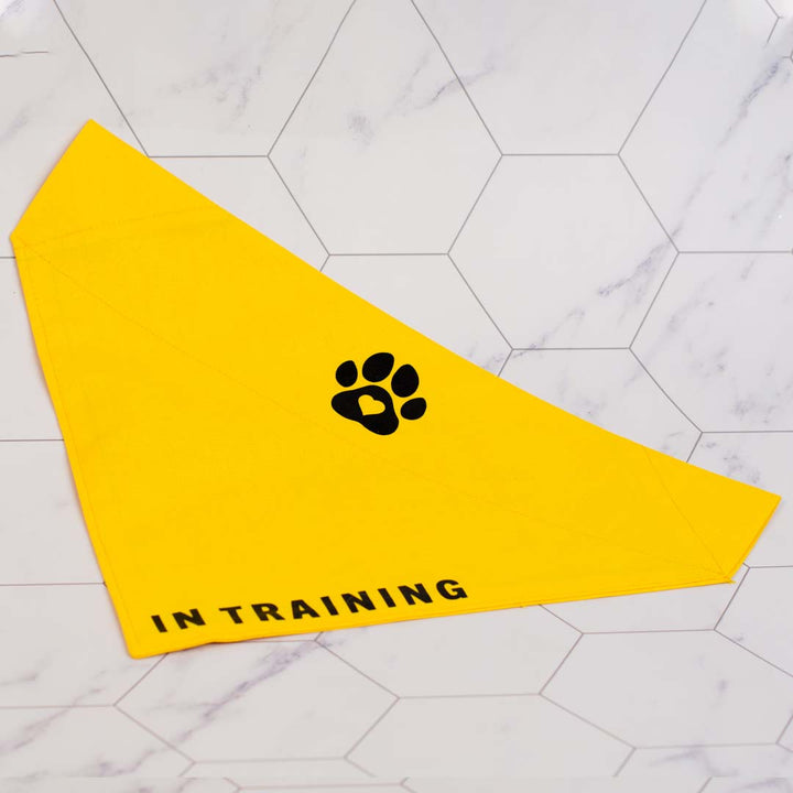 Pets - Bandanas, In Training