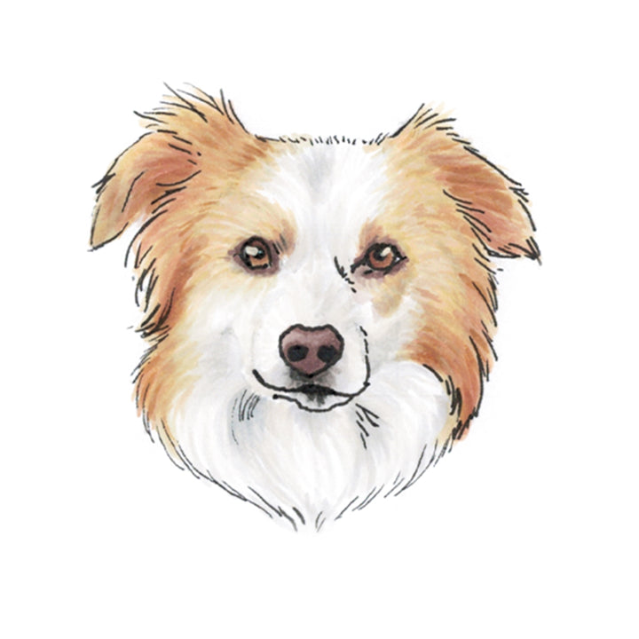 XL Satin Scrunchie - Border Collie Print