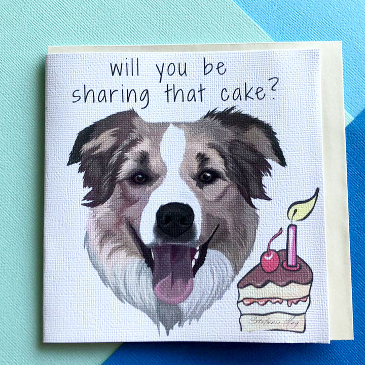 Cards - Border Collie, Birthday